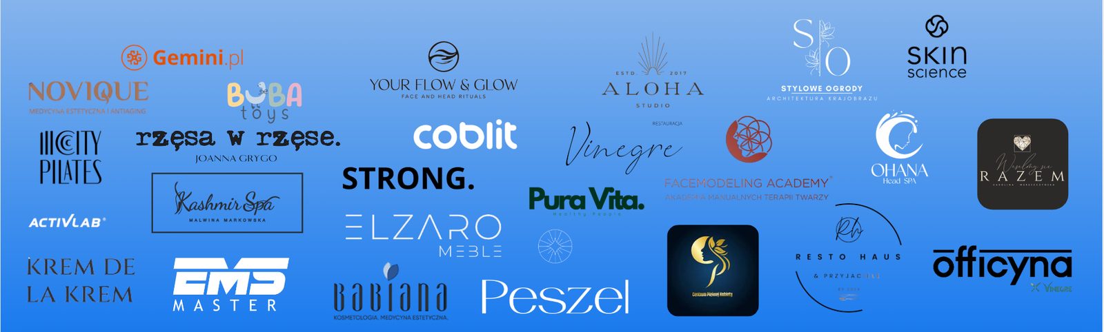 Logotypy klientów MJ Club